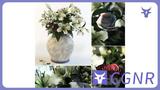 MAX模型绿植3dmax桌面绿植植物模型桌面摆放植物模型家具植物类模型摆件模型免费三维模型下载编号6