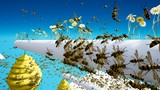 虚幻引擎插件Advanced Fly Insects System 4.27 5.0先进的飞虫系统