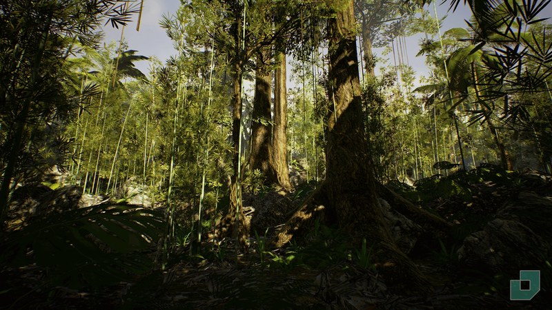 CG牛人资源网—UE4ue5开发引擎资产 雨林场景 Low Poly Rainforest Pack