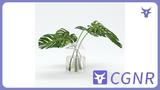 MAX模型绿植3dmax桌面绿植植物模型桌面摆放植物模型家具植物类模型摆件模型免费三维模型下载编号11