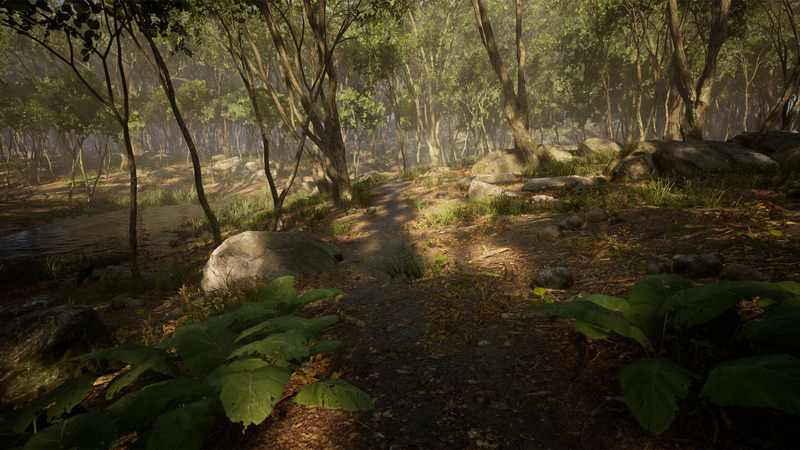 CG牛人资源网—【UE4】树叶森林生物群落Leaf Tree Forest Biome