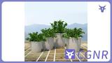 MAX模型绿植3dmax地面绿植植物模型地面摆放植物模型家具植物类模型摆件模型免费三维模型下载编号13