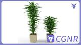 MAX模型绿植3dmax地面绿植植物模型地面摆放植物模型家具植物类模型摆件模型免费三维模型下载编号14