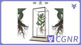 MAX模型绿植多肉植物模型家具植物类模型模型免费三维模型下载编号6