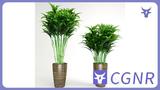 MAX模型绿植3dmax地面绿植植物模型地面摆放植物模型家具植物类模型摆件模型免费三维模型下载编号15