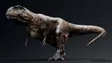 【UE5】恐龙系列带动画巨兽龙资产-Giganotosaurus