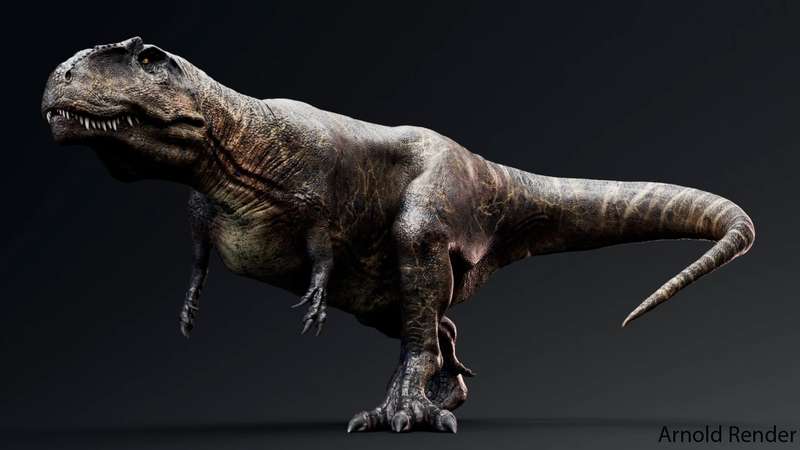 【UE5】恐龙系列带动画巨兽龙资产-Giganotosaurus