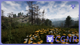 UE4ue5石松林资产-Stone Pine Forest