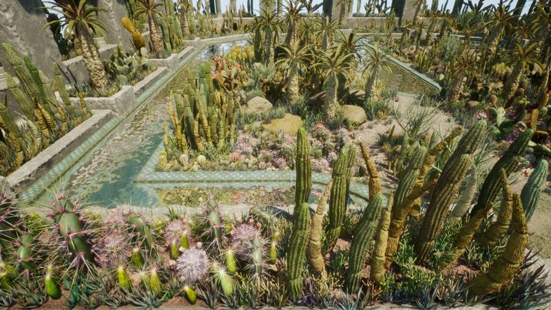 【UE4】沙漠仙人掌植物 Cactus Plants Desert Garden