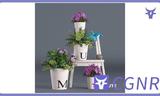 MAX模型绿植3dmax地面绿植植物模型地面摆放植物模型家具植物类模型摆件模型免费三维模型下载编号20