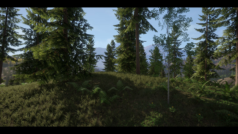 CG牛人资源网—【UE4】真实的森林 Realistic Forest Pack