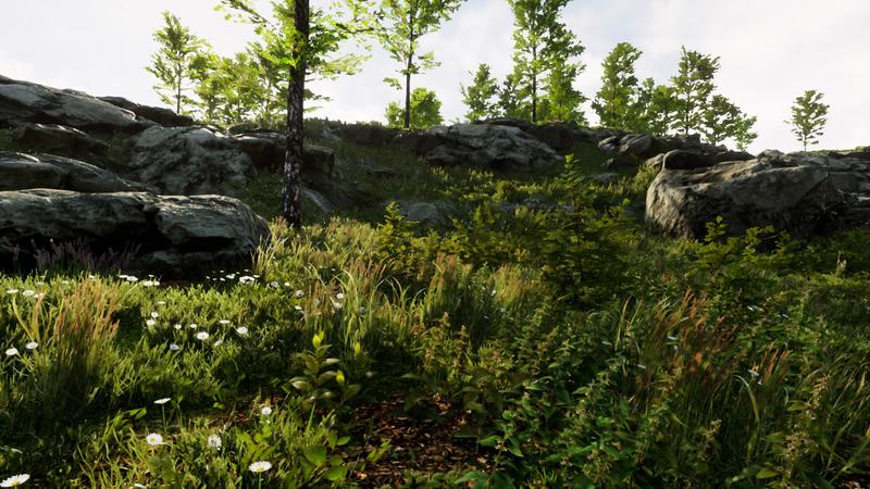 CG牛人资源网—【UE4】 景观专业版3 - 自动自然环境创建工具Landscape Pro 3 - Automatic Natural Environment Creation Tool