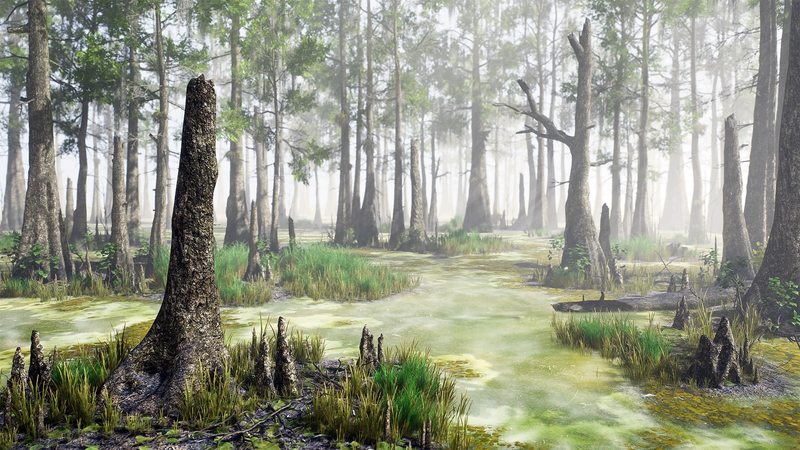 CG牛人资源网—【UE4】柏树沼泽 Bald Cypress Swamp