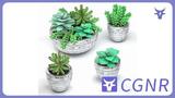 MAX模型绿植多肉植物模型家具植物类模型模型免费三维模型下载编号14