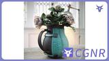 MAX模型绿植花卉花瓶模型家具植物类模型模型免费三维模型下载编号2