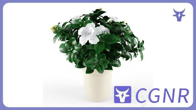 MAX模型绿植3dmax桌面绿植植物模型桌面摆放植物模型家具植物类模型摆件模型免费三维模型下载编号8